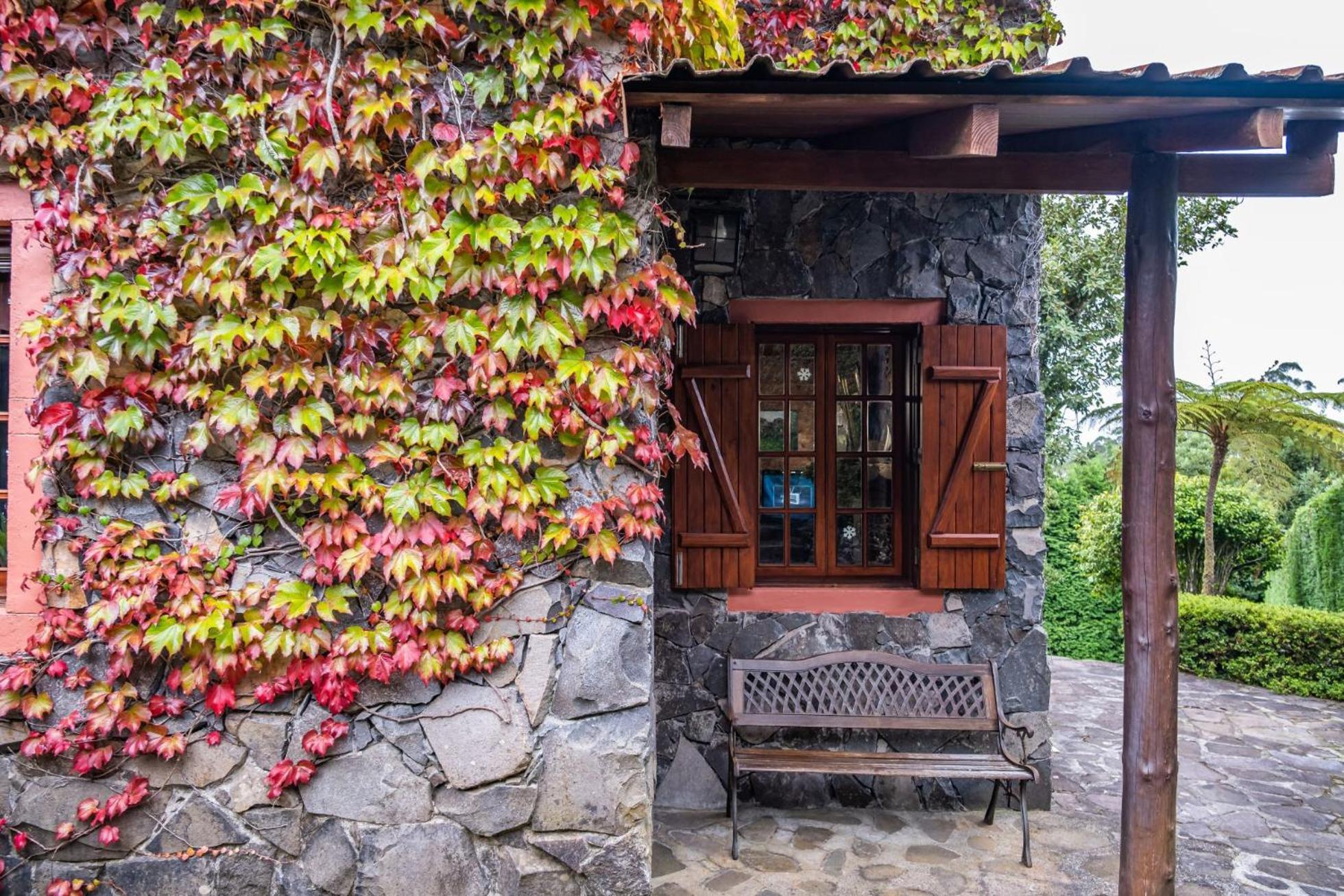 Villa Achada Da Mouca By Madeira Sun Travel サンタナ エクステリア 写真
